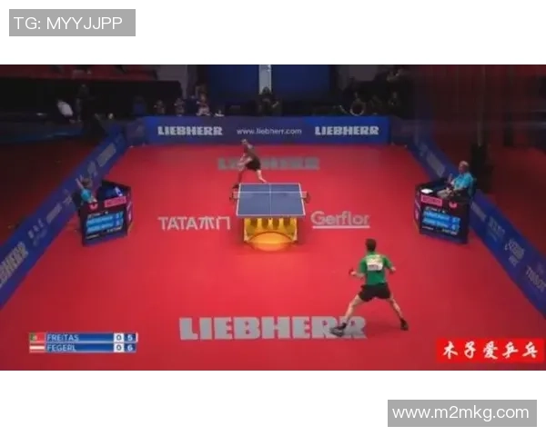 海牙对阵埃门精彩直播全程回顾与赛后分析尽在这里