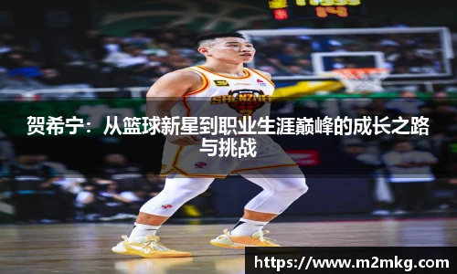 贺希宁：从篮球新星到职业生涯巅峰的成长之路与挑战